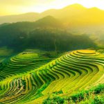 16 Things To Know Before Travelling To Vietnam