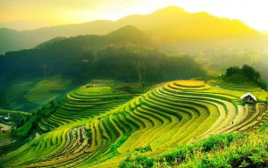 16 Things To Know Before Travelling To Vietnam