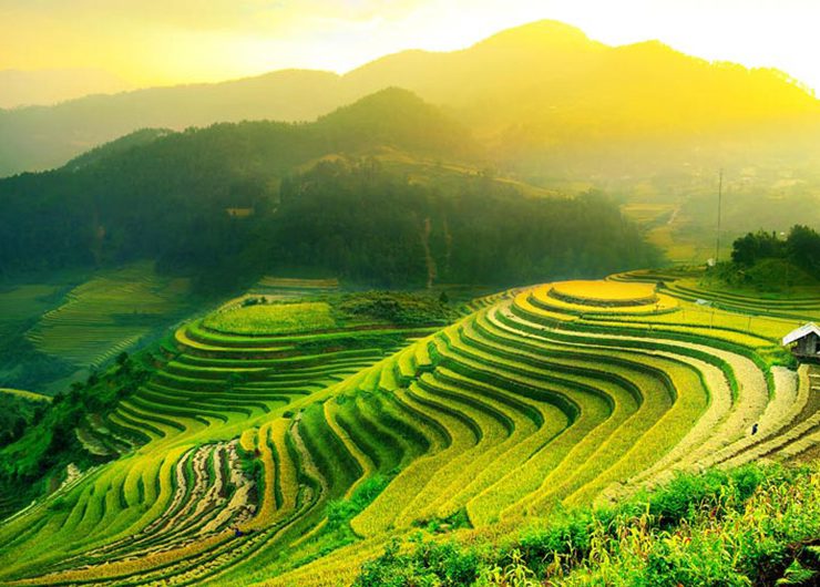 16 Things To Know Before Travelling To Vietnam
