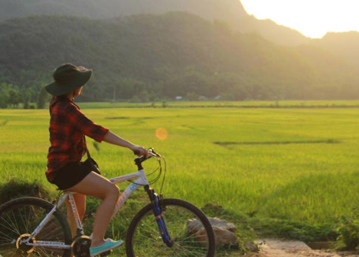 Best Time To Visit Vietnam (Including cities)