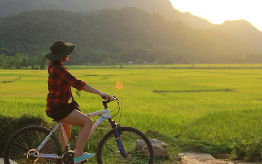 Best Time To Visit Vietnam (Including cities)