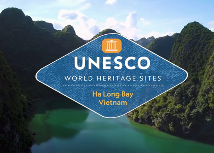 Top 5 Attractions and Activities in Halong bay