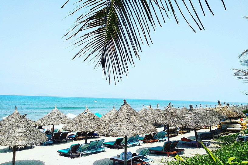 Best Time to Visit Vietnam: A Complete Travel Guide