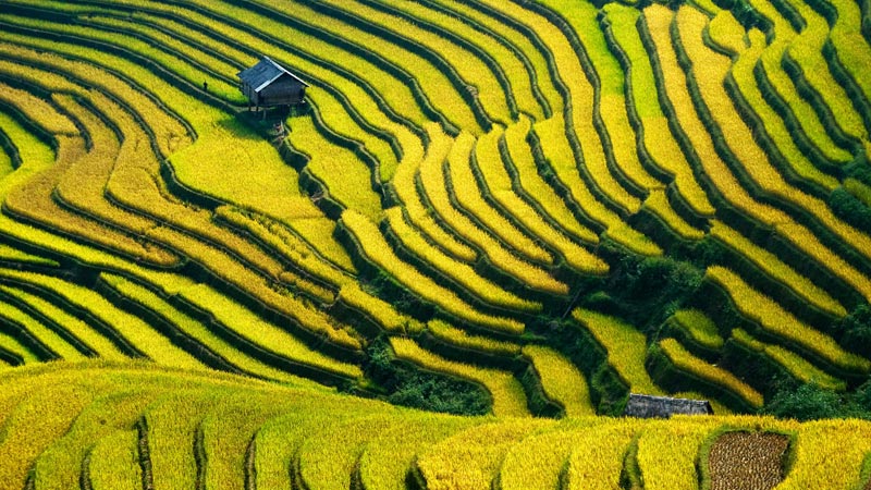 Vietnam Tours from South Africa