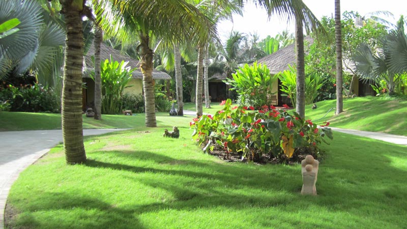 Flights from South Africa to Vietnam