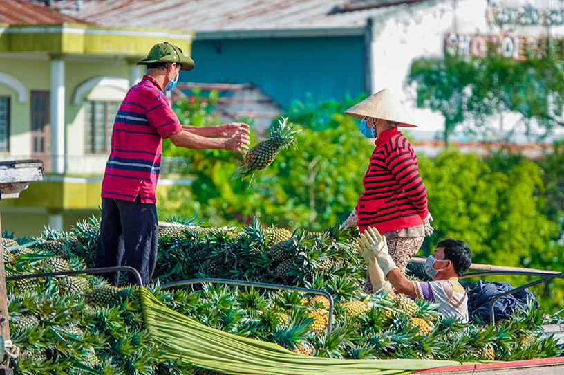 Long Xuyen Floating Market - An Giang