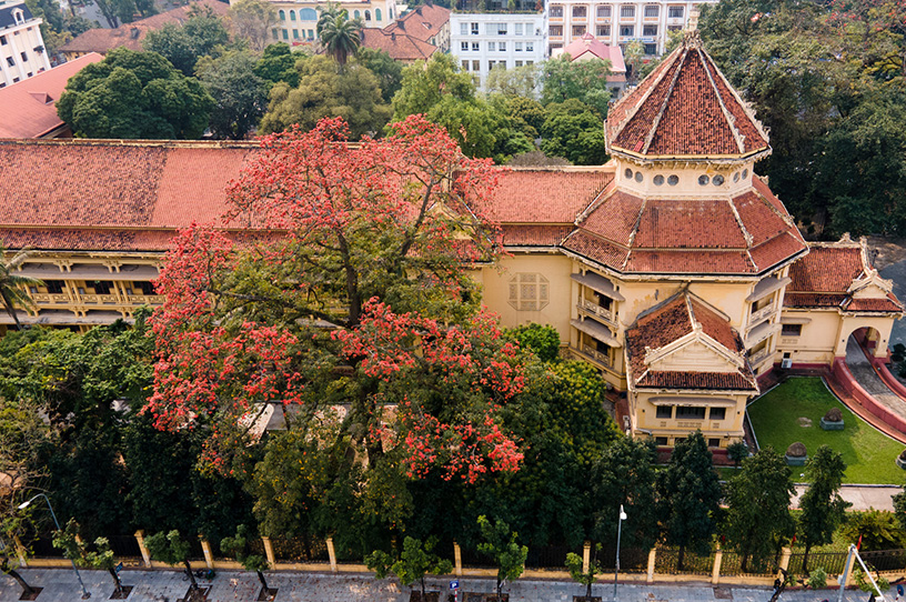 National Museum of Vietnamese History