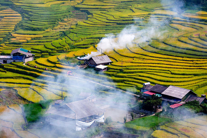 Terraced fields in Sapa