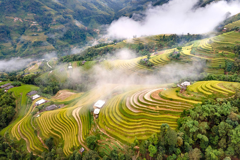 Hoang Su Phi Terraced Rice Fields