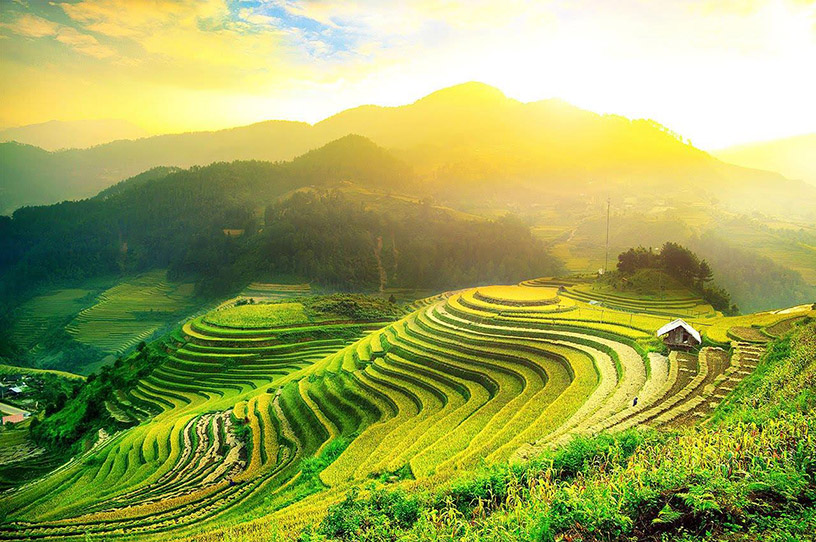 Hoang Su Phi Terraced Rice Fields