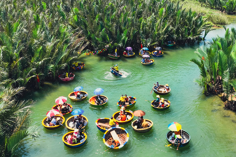 Bay Mau Coconut Forest