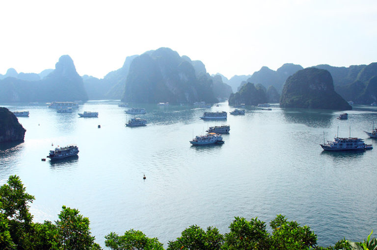 Top 20 Luxury 4-Star Cruises in Halong Bay