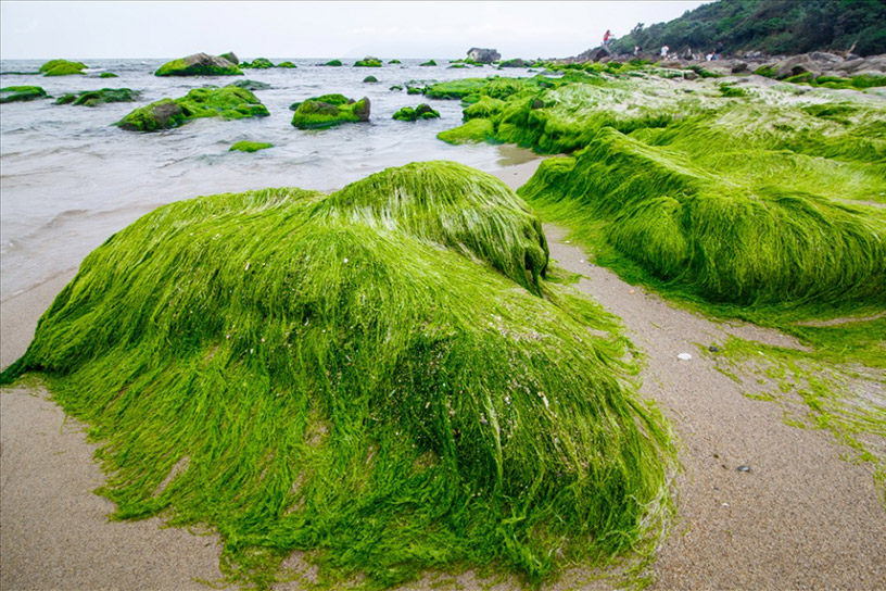 Nam O Beach