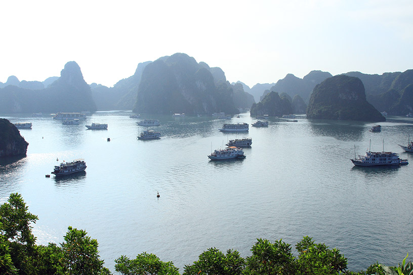 Halong Bay seen from the top of Ti Top Island