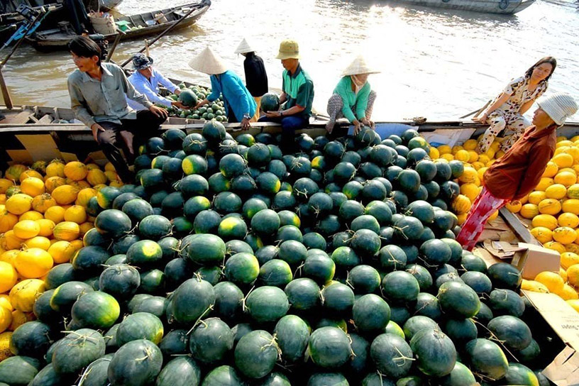 Fruits in Mekong Delta