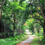 Phu Quoc National Park