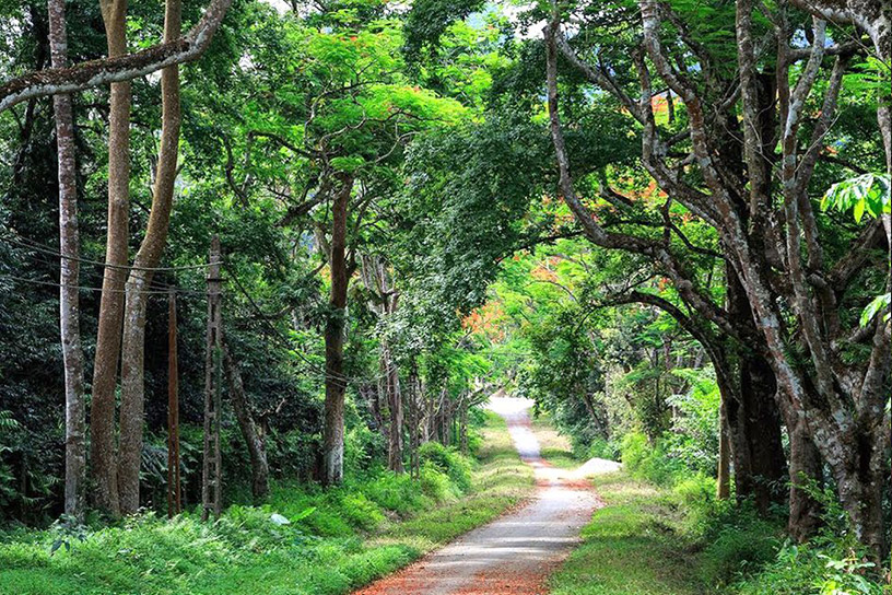 Phu Quoc National Park: Information, Opening Hours, Ticket Prices
