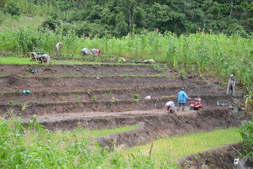 Sin Chai Village, Sapa