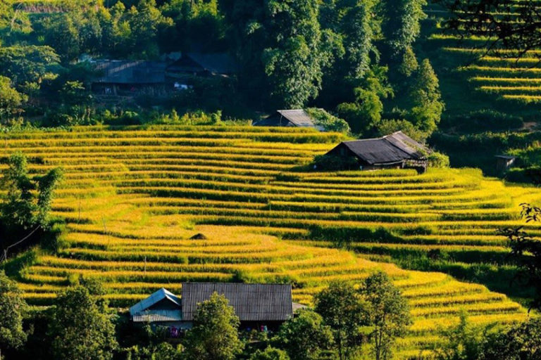 Sin Chai Village, Sapa