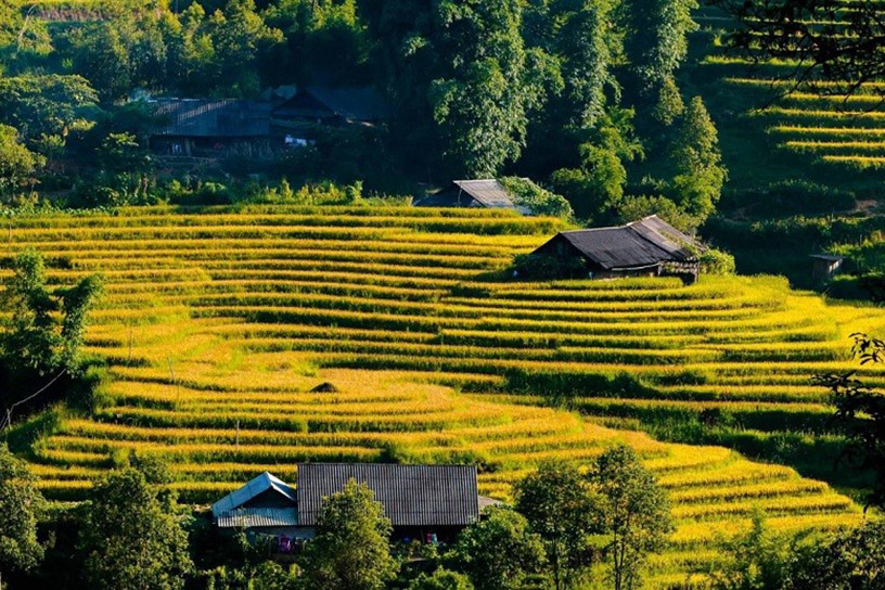 Sin Chai Village, Sapa: Discover the Untouched Beauty