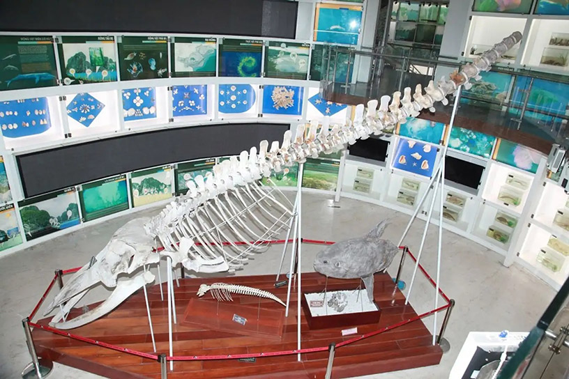 Quang Ninh Museum