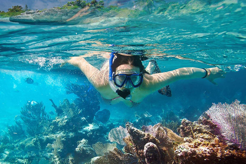 Snorkeling to Explore Coral Reefs