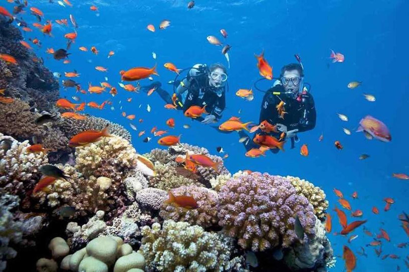 Scuba Diving to Explore Coral Reefs