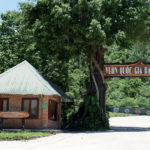 Bach Ma National Park