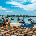 Ham Ninh Fishing Village