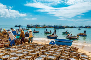 Ham Ninh Fishing Village