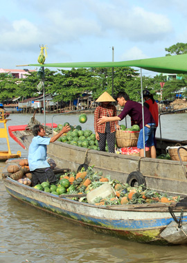 Multi-Country Tours Multi-Country Tours