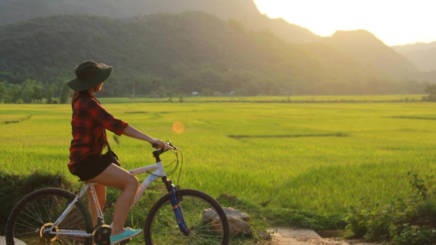 Best Time To Visit Vietnam