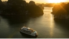 Bhaya Soul Cruise - 