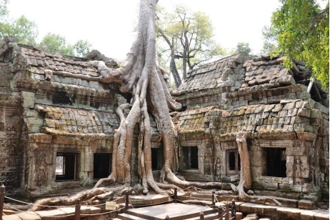 Discover Cambodia and Vietnam