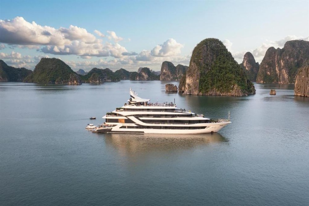 Calista Cruise