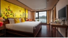 Indochine Cruise - 