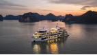L'amour Cruise - 