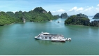 Paradise Grand Cruise - 