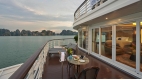 Paradise Legacy Cruise - 