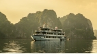Swan Cruises Halong - 