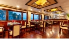 Swan Cruises Halong - 