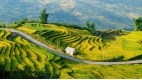 Amazing Vietnam