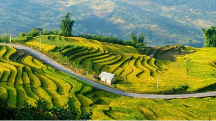 Amazing Vietnam