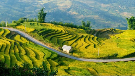 Amazing Vietnam
