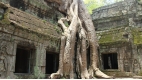 Angkor Discovery