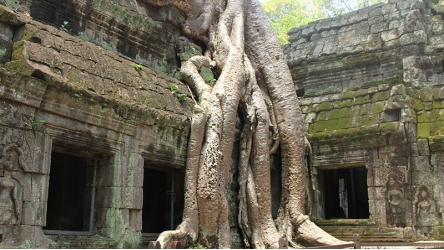 Angkor Discovery