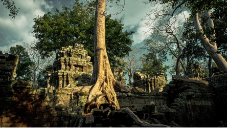 Angkor Wonder