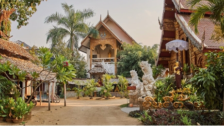 Chiang Mai Discovery: Temples & Elephants
