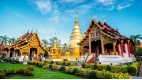Chiang Mai Discovery: Temples & Elephants - 5 days