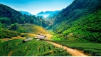 Chiang Mai Discovery: Temples & Elephants - 5 days